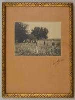 Aratók, fotó, kartonra ragasztva, jelzett, üvegezett fa keretben, 13×18 cm