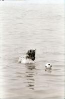 cca 1973 Balatoni felvételek, 320 db vintage negatív, a tároló tasakok feliratozva, 24x36 mm