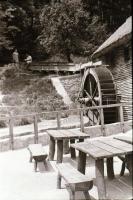 cca 1973 Balatoni felvételek, 320 db vintage negatív, a tároló tasakok feliratozva, 24x36 mm