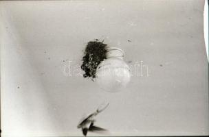 cca 1973 Balatoni felvételek, 320 db vintage negatív, a tároló tasakok feliratozva, 24x36 mm