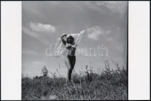 cca 1988 A férfifantázia csapongása, szolidan erotikus felvételek, 7 db vintage negatív + 9 db vinta...