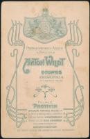 1905 nemes Nemzetes Miskey Károly és felesége, Anton Wildt Budweis műterméből, kitüntetésekkel, dísz...