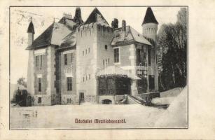 Mezőlaborc, Medzilaborce; Lovag Skoda kastély télen. Schönfeld Sámuel kiadása 437. / castle in winter (fl)