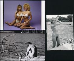 cca 1979 Ex/pozíciók, szolidan erotikus felvételek, 8 db vintage negatív + 8 db vintage fotó és/vagy...