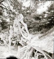 cca az 1980-as évek, 13 db vintage negatív Menesdorfer Lajos (1941-2005) budapesti fotóművész hagyat...