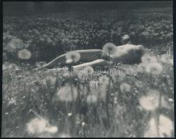 cca 1976 Szépségideálok a hetvenes évekből, szolidan erotikus felvételek, 9 db vintage negatív + 9 d...