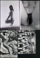 cca 1976 Szépségideálok a hetvenes évekből, szolidan erotikus felvételek, 9 db vintage negatív + 9 d...