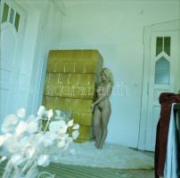 cca 1981 Emlékek között, szolidan erotikus felvételek, 8 db vintage negatív + 9 db vintage fotó és/v...