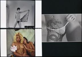 cca 1978 Retro életérzés, szolidan erotikus felvételek, 7 db vintage negatív + 8 db vintage fotó és/...