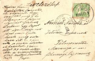 1910 Végles, Véghles, Véglesváralja, Podvígles, Víglas; Frigyes főherceg kastély / Víglassky zámok /...