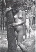 cca 1975 Naturista életmód, szolidan erotikus felvételek, 7 db vintage negatív + 8 db vintage fotó é...