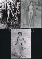 cca 1975 Naturista életmód, szolidan erotikus felvételek, 7 db vintage negatív + 8 db vintage fotó é...