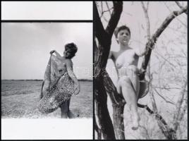 cca 1975 Naturista életmód, szolidan erotikus felvételek, 7 db vintage negatív + 8 db vintage fotó é...