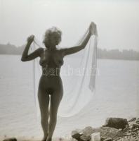 cca 1979 Vágyak és privát történetek, szolidan erotikus felvételek, 6 db vintage negatív + 8 db vint...