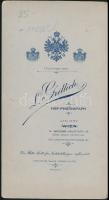 cca 1910 Osztrák-magyar ezredes és felesége, műtermi fotó, L. Grillich bécsi műterméből, kartonra ka...