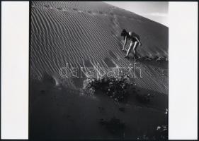 cca 1979 Vidám vasárnapok, szolidan erotikus felvételek, 7 db vintage negatív + 9 db vintage fotó és...