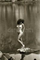 cca 1981 Sellők a kamera előtt, szolidan erotikus felvételek, 6 db vintage negatív + 9 db vintage fo...