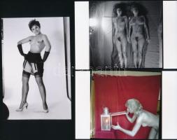 cca 1981 Sellők a kamera előtt, szolidan erotikus felvételek, 6 db vintage negatív + 9 db vintage fo...