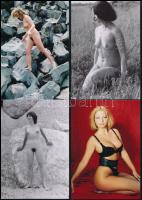 cca 1981 Sellők a kamera előtt, szolidan erotikus felvételek, 6 db vintage negatív + 9 db vintage fo...