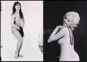 cca 1986 Tavaszi szonáta, szolidan erotikus felvételek, 6 db vintage negatív + 11 db vintage fotó és...