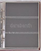 Gyűrűs bankjegy berakó, 21db többféle különböző méretekre osztott lappal, ~80 férőhellyel