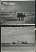 cca 1936 Czvek Gyula 4 db pecséttel jelzett, vintage fotóművészeti alkotása, 18x12 cm