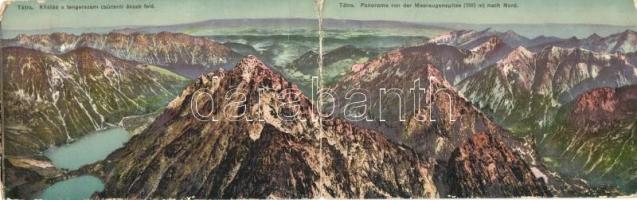 Tátra, Tatry; Kilátás a Tengerszemi csúcsról észak felé. Feitzinger Ede Ph. No. 1058. / Rysy. panoramacard (fa)