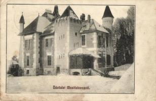 Mezőlaborc, Medzilaborce; Lovag Skoda kastély télen. Schönfeld Sámuel kiadása / castle in winter (fl)