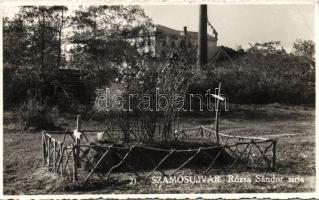 Szamosújvár tomb of Rózsa Sándor