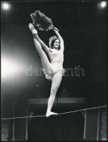 Cirkusz Varieté, 24 db különböző sajtófotó, 12,5×8 és 26×20 cm közötti méretekben