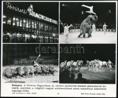 Cirkusz Varieté, 24 db különböző sajtófotó, 12,5×8 és 26×20 cm közötti méretekben