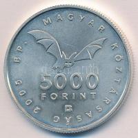 2005. 5000Ft Ag "Aggteleki-karszt barlangjai" T:1 
Adamo EM196