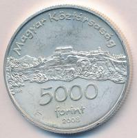 2008. 5000Ft Ag "Siklósi Vár" T:BU apró ph.
Adamo EM218
