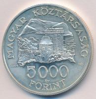 2004. 5000Ft Ag "Visegrádi vár" T:1,1- kis ph.
Adamo EM192