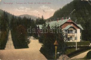 Tátra, Barlangliget, Höhlenhain, Tatranská Kotlina (Magas Tátra, Vysoké Tatry); Vaskapu villa a Tündér lak fölé vezető úttal. Kiadja Wlaszlovits Gusztáv / villa, road (fa)