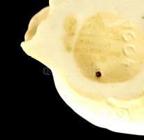 Rosenthal kisfiú madárral, bisquit porcelán, jelzett, hibátlan, m: 11 cm