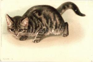 Cat, Wezel & Naumann Serie 68. 8. litho