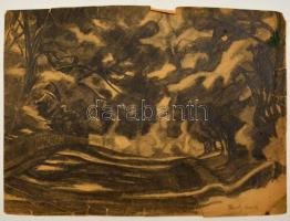 Feszty Masa (1895-1979): Dombos erdős táj. Szén, papír, szakadásokkal, 28×37 cm
