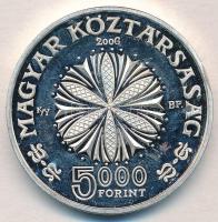 2006. 5000Ft Ag "Bartók Béla" T:2 (eredetileg PP) ph.,ü.
Adamo EM201