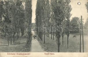 Érsekújvár, Nové Zámky; vasúti fasor / road to the railway station (lyuk / hole)