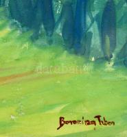 Boromisza jelzéssel: Hegycsúcsok. Akvarell, papír, foltos, üvegezett keretben, 34×44 cm