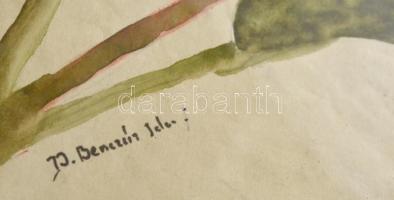 Benczúr jelzéssel: Virágszál. Akvarell, papír, foltos, üvegezett keretben, 25×19 cm