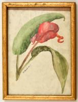 Benczúr jelzéssel: Virágszál. Akvarell, papír, foltos, üvegezett keretben, 25×19 cm