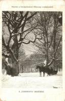 Kistapolcsány, Topolcianky; Főhercegi uradalom, Tompinova erdőrész, lószán télen / forest with horse sled in winter (szakadások / tears)