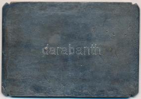 1964. "BNV" fém emlékplakett (124x86mm) T:2