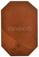 ~1926. "Budapesti Labdarúgók Alszövetsége 1926" Br emlékplakett (70x105mm) T:2