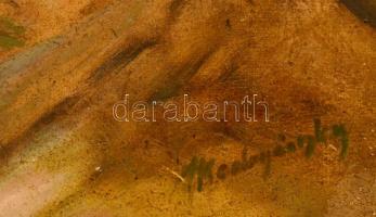 Mednyánszky jelzéssel: Férfi portré. Olaj, karton, foltos, sérült keretben, 50×36 cm