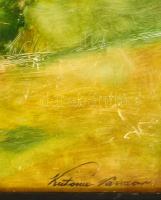 Katona jelzéssel: Hegyvidéki táj. Olaj, karton, foltos-karcos, keretben, 43×58 cm