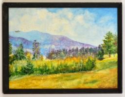 Katona jelzéssel: Hegyvidéki táj. Olaj, karton, foltos-karcos, keretben, 43×58 cm