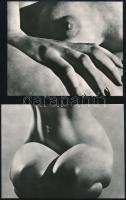 cca 1967 Karel Ludwig (1919-1977): Női aktok, 2 db fotó az Akt v české fotografii albumból, hátulján feliratozva, különböző méretben